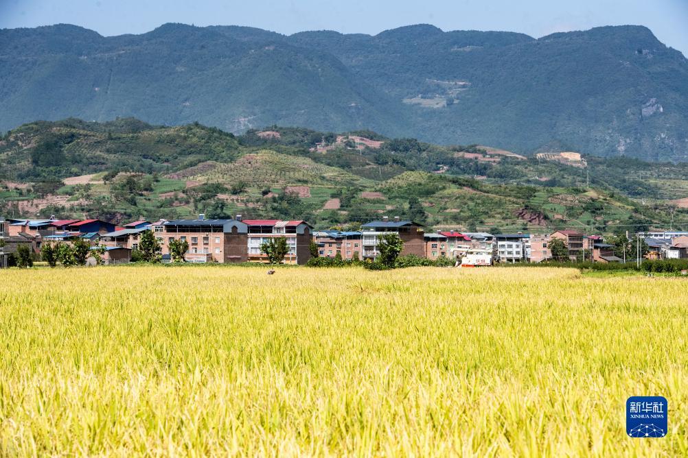 电子传奇游戏